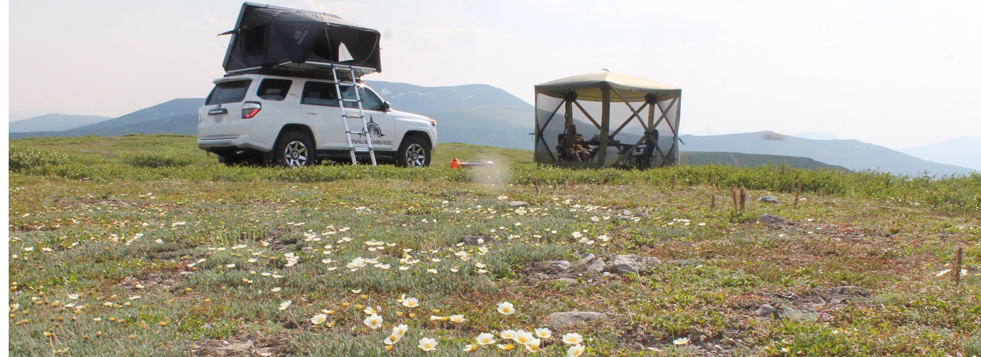 Denali Backroads 4Runner Auroralander or Overlander with rooftop tent camping among alpine wildflowers in Alaska
