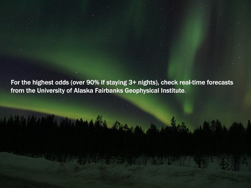 Northern Lights above the dark trees